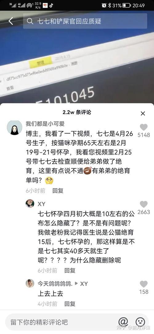 娱乐吃瓜君说七七视频,揭秘娱乐圈幕后故事，娱乐吃瓜君带你一探究竟