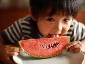 娱乐吃瓜君和二豆,揭秘娱乐圈背后的那些事儿