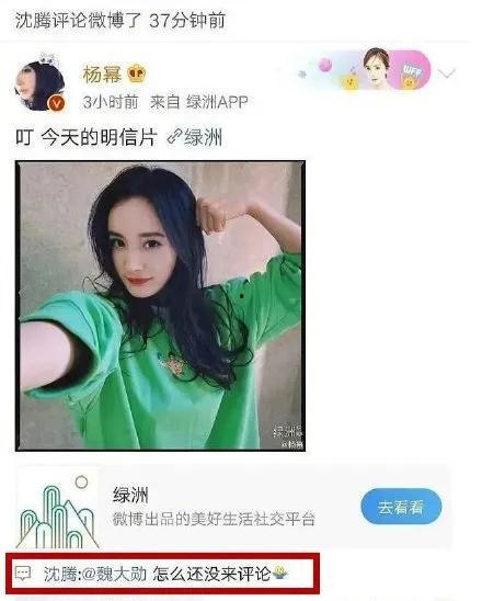 小程序娱乐圈吃瓜人,揭秘“吃瓜人生”背后的精彩故事